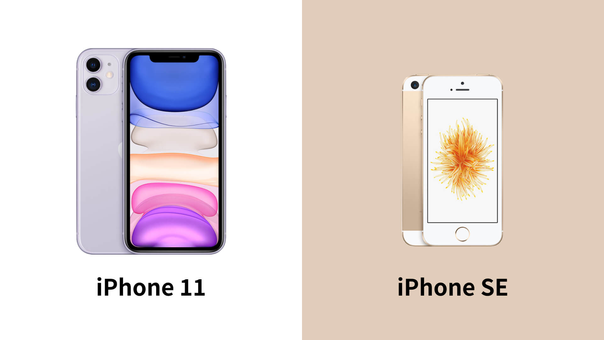 iPhone 11とiPhone SEの違いは？機種変更前に知りたい機能を比較