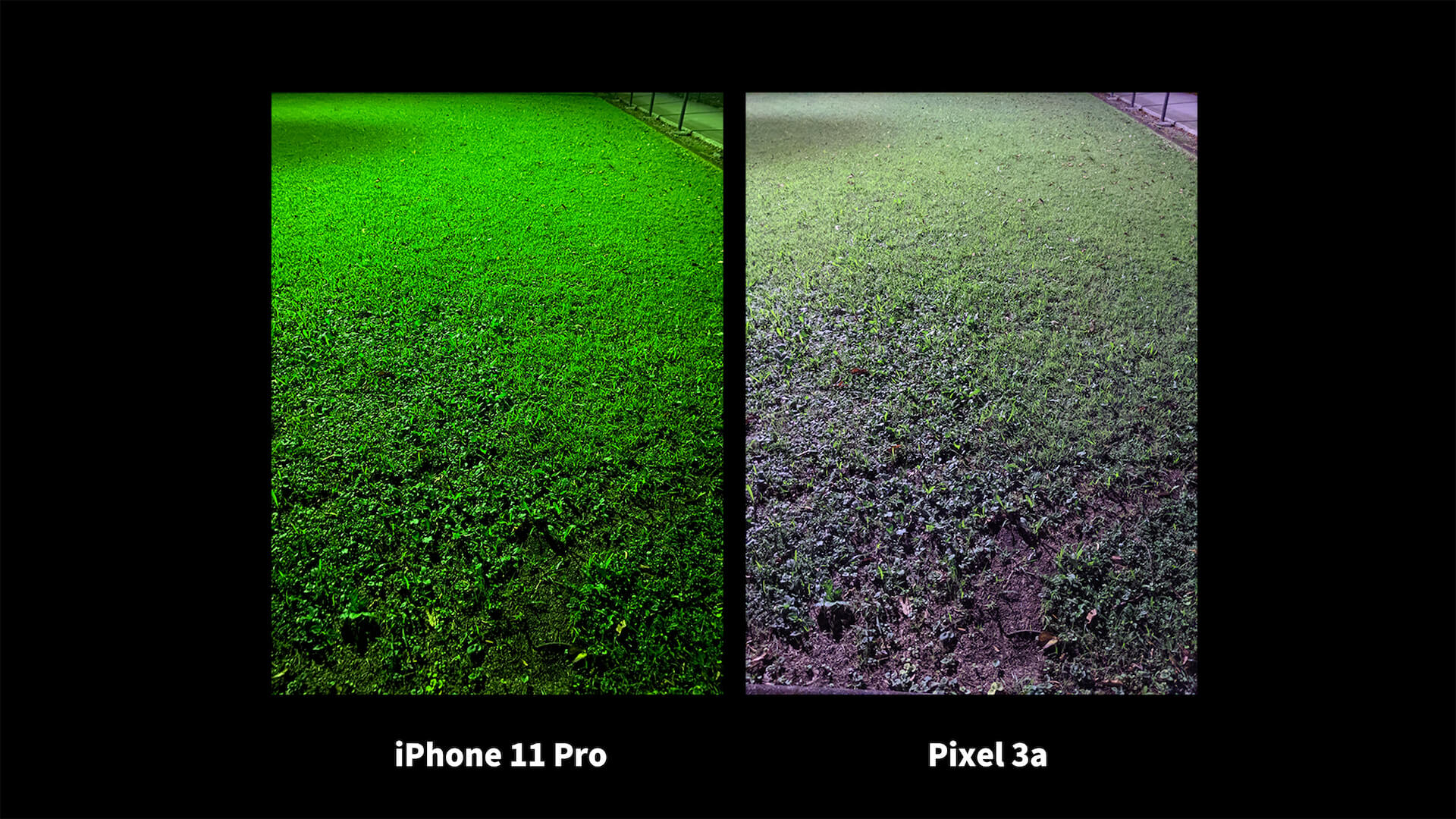 iPhone 11 Pro Pixel 3a ナイトモード 比較 芝生