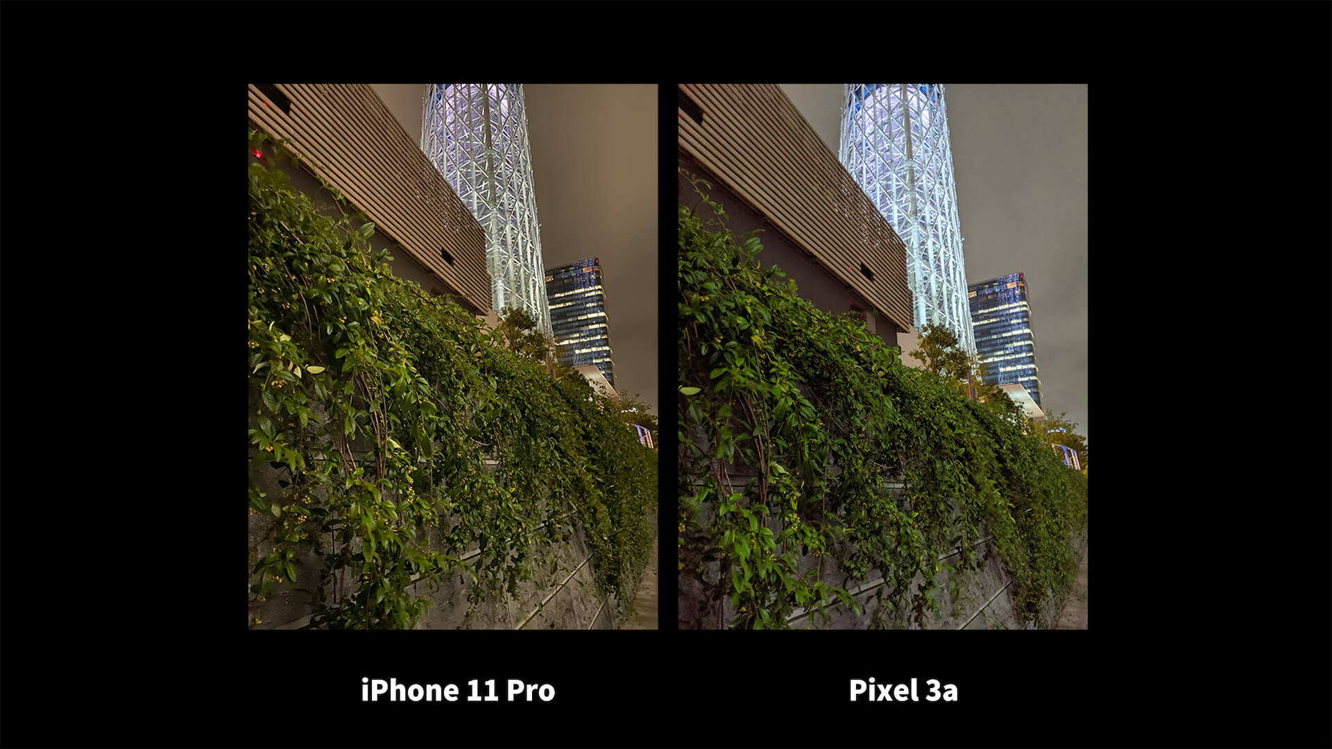 iPhone 11 Pro Pixel 3a ナイトモード 比較 壁と草